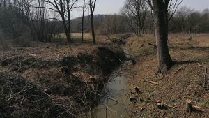 Uređuje se vodotok Ođenice uz državnu cestu D-5 kod Virovitičkih ribnjaka 2 IMG 20210311 121204