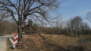 Uređuje se vodotok Ođenice uz državnu cestu D-5 kod Virovitičkih ribnjaka 3 IMG 20210311 121258