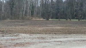 Uređuje se vodotok Ođenice uz državnu cestu D-5 kod Virovitičkih ribnjaka 5 viber slika 2021 03 12 07 17 17