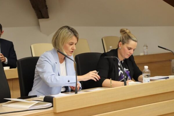 Na 29. sjednici Gradskog vijeća Virovitice raspravljalo se o važnim projektima, cijenama i održavanju lokalne infrastrukture 15 IMG 7449 1000x633 1
