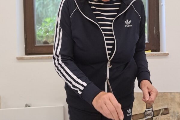 Umjetnici velikog srca radovima s likovne kolonije pomažu u obnovi Dvorane sv. Franje u Virovitici 8 kolonija9