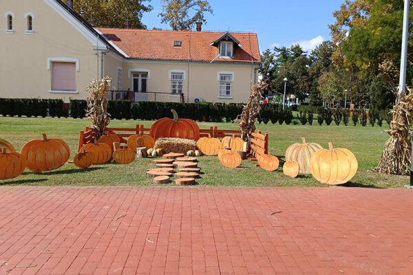 Jesensko ruho grada: Čarobno godišnje doba uz rapsodiju boja i prekrasne dekoracije 3 461173594 923619289798087 4686810145771437238 n