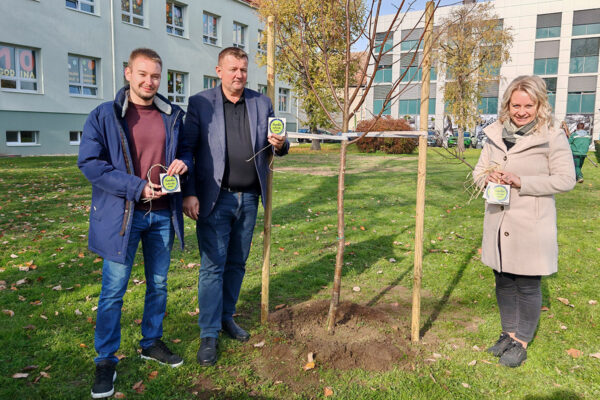 Kroz projekt „Hrvatska prirodno tvoja“ u Virovitici posađeno 17 sadnica javora i lipe 2 IMG 20241106 120958