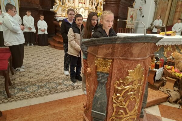 U crkvi sv. Roka u Virovitici vjernici zahvalili za plodove zemlje, upoznali se s prvopričesnicima i proslavili bračne jubileje 3 plodovi3