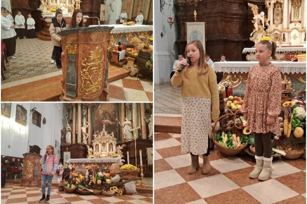 U crkvi sv. Roka u Virovitici vjernici zahvalili za plodove zemlje, upoznali se s prvopričesnicima i proslavili bračne jubileje 1 plodovi¸14