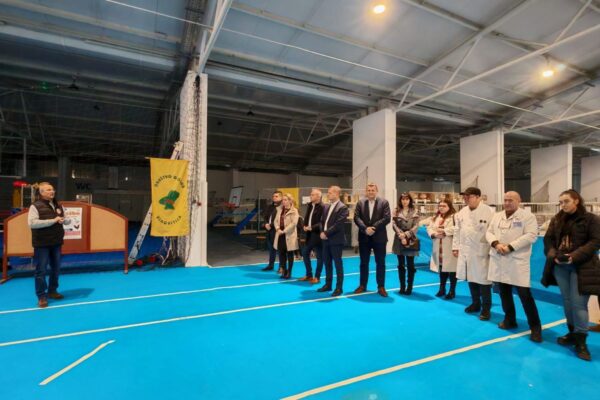 Na stotine golubova, peradi, kunića i zamoraca: U Virovitici otvorena Državna izložba hrvatskih pasmina i 47. izložba malih životinja 11 474687228 1011795304313818 4083416631761675385 n