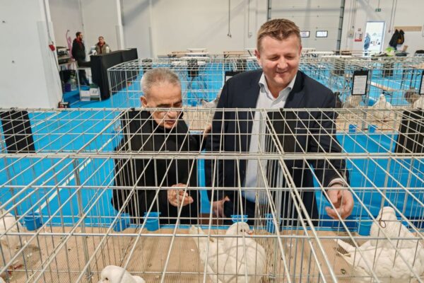 Na stotine golubova, peradi, kunića i zamoraca: U Virovitici otvorena Državna izložba hrvatskih pasmina i 47. izložba malih životinja 13 474713996 1011795164313832 1254424727182844167 n