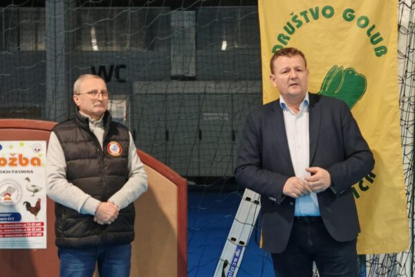 Na stotine golubova, peradi, kunića i zamoraca: U Virovitici otvorena Državna izložba hrvatskih pasmina i 47. izložba malih životinja 16 474804218 1011794794313869 8491752268329541669 n