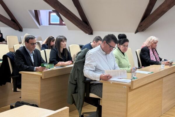 Infrastrukturni projekti, poduzetničke zone i socijalne naknade glavne teme sjednice Gradskog vijeća 8 Dizajn bez naslova 10