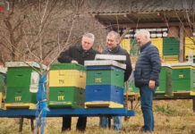 Korisna inicijativa virovitičkih pčelara: Letcima protiv pomora pčela