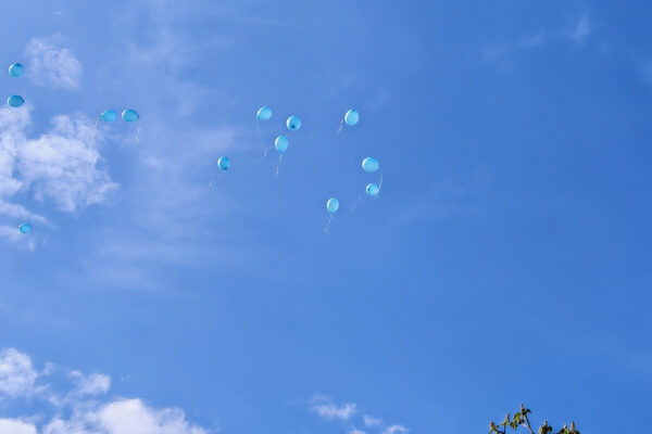 IMG 20250402 093737