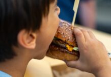 Street Food Festival stiže u Viroviticu: besplatan koncert TBF-a i vrhunska ponuda hrane u Gradskom parku