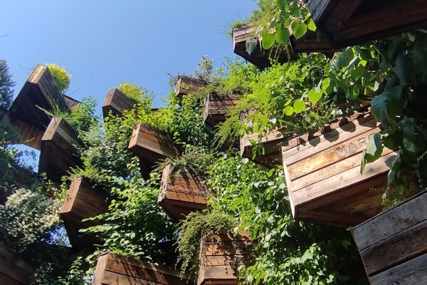 Predstavnici Grada Virovitice u Veszprému: Jačanje prekogranične suradnje i ulaganje u budućnost javnih prostora 6 7