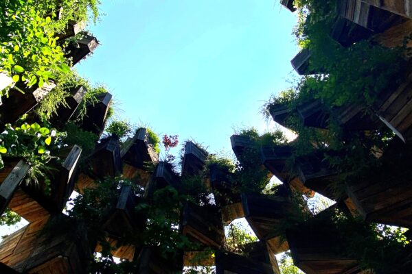 Predstavnici Grada Virovitice u Veszprému: Jačanje prekogranične suradnje i ulaganje u budućnost javnih prostora 7 8