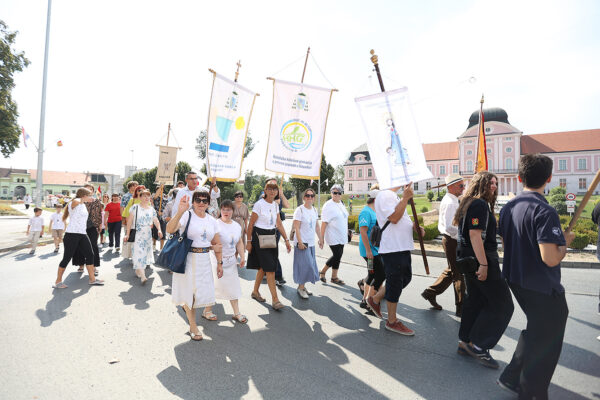 Fotogalerija: Zavjetnom procesijom i svečanom misom Virovitičani predali zahvale i molitve sv. Roku povodom 791. rođendana 60 procesija i misa 253