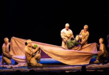 Kazalište Virovitica i korejski Puppet Festival donose predstavu “Floral Coma”