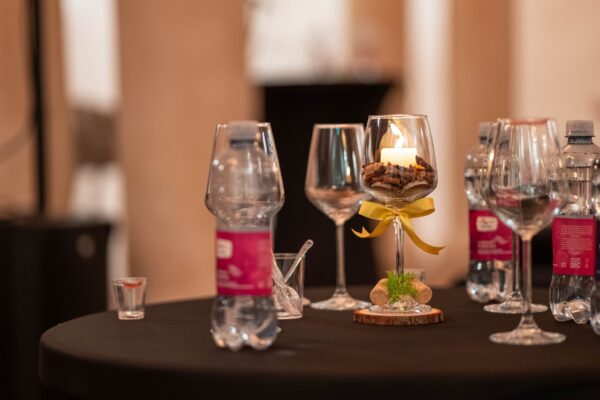 Gdje vino susreće umjetnost: U Dvorcu Pejačević održan još jedan Virovitica Wine & Art 7 555844037 1228454352650875 5618929331318551190 n