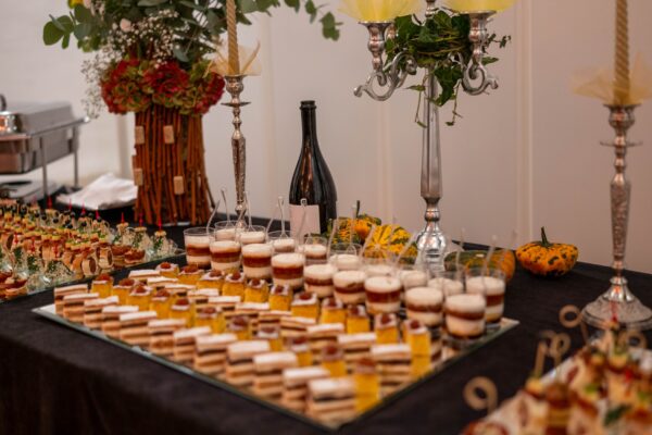 Gdje vino susreće umjetnost: U Dvorcu Pejačević održan još jedan Virovitica Wine & Art 4 556093891 1228452759317701 6246617433495051362 n