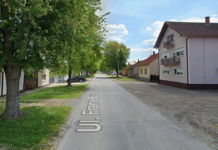 Obavijest građanima: Uklanjanje stabala u Vinogradskoj i Fujsovoj ulici radi zaštite komunalne infrastrukture (kanalizacija)