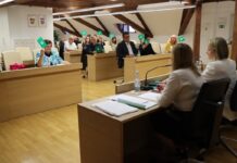 Gradsko vijeće Virovitice: Od rekonstrukcije trgova i sadnje drveća do cijene vode i dimnjačarskih naknada