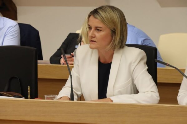 Gradsko vijeće Virovitice: Od rekonstrukcije trgova i sadnje drveća do cijene vode i dimnjačarskih naknada 8 IMG 5154