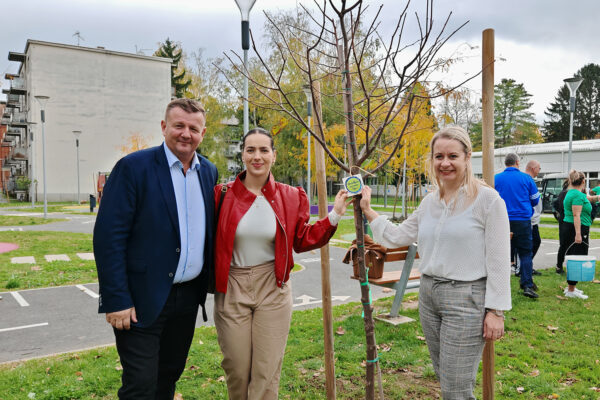 IMG 20251030 094851 1