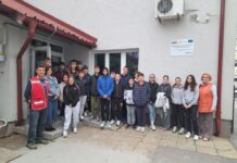 Nazori u Gradskom društvu Crvenog križa Virovitica: Prvi koraci u prvoj pomoći, priča o socijalnim djelatnostima i prilika za volontiranje