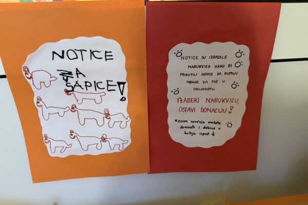 Velika srca malih „Notica” – narukvice dobrote za šapice u azilu 2 viber slika 2025 11 07 13 27 26 880