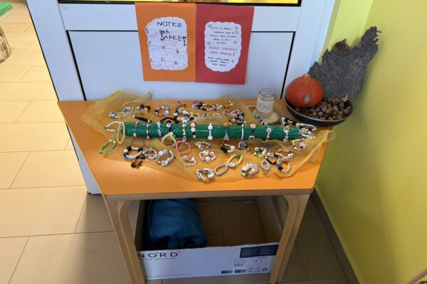 Velika srca malih „Notica” – narukvice dobrote za šapice u azilu 4 viber slika 2025 11 07 13 27 27 577