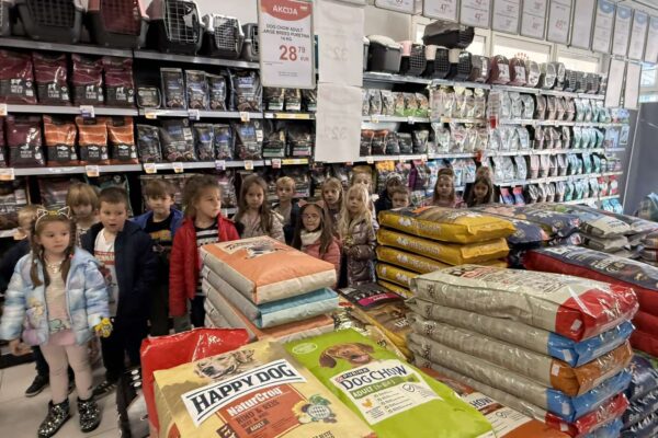 Velika srca malih „Notica” – narukvice dobrote za šapice u azilu 5 viber slika 2025 11 07 13 27 27 969