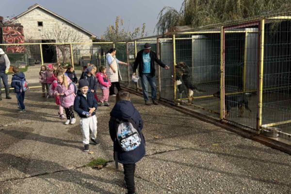 Velika srca malih „Notica” – narukvice dobrote za šapice u azilu 8 viber slika 2025 11 07 13 27 29 022