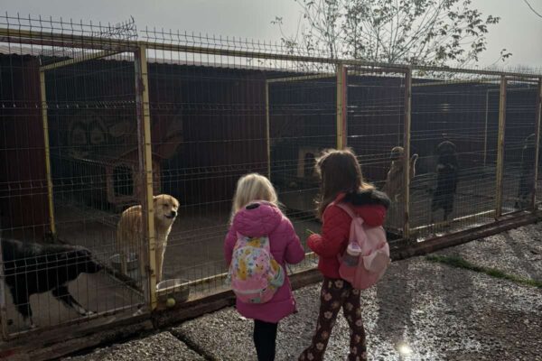 Velika srca malih „Notica” – narukvice dobrote za šapice u azilu 9 viber slika 2025 11 07 13 27 29 397