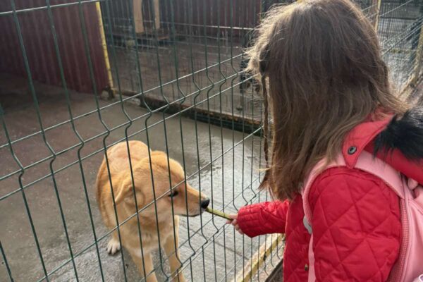 Velika srca malih „Notica” – narukvice dobrote za šapice u azilu 10 viber slika 2025 11 07 13 27 29 863