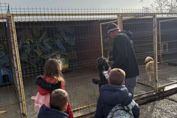 Velika srca malih „Notica” – narukvice dobrote za šapice u azilu 12 viber slika 2025 11 07 13 27 30 742