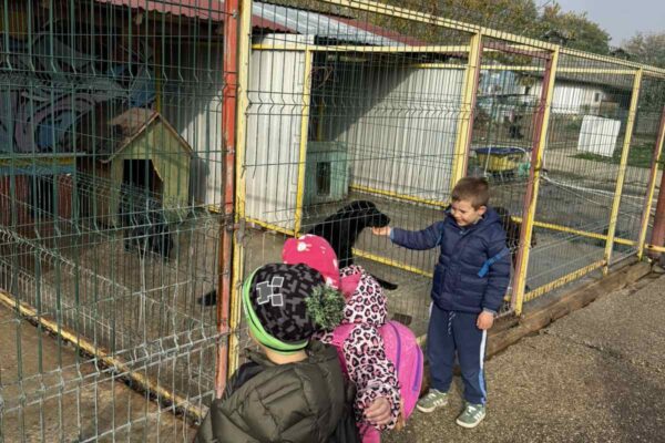 Velika srca malih „Notica” – narukvice dobrote za šapice u azilu 13 viber slika 2025 11 07 13 27 31 146