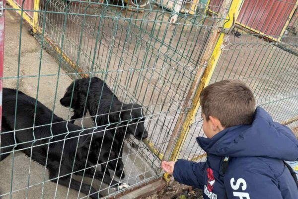 Velika srca malih „Notica” – narukvice dobrote za šapice u azilu 15 viber slika 2025 11 07 13 27 31 904