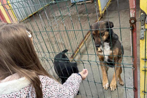 Velika srca malih „Notica” – narukvice dobrote za šapice u azilu 16 viber slika 2025 11 07 13 27 32 247