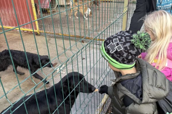 Velika srca malih „Notica” – narukvice dobrote za šapice u azilu 17 viber slika 2025 11 07 13 27 32 613