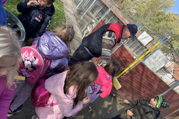 Velika srca malih „Notica” – narukvice dobrote za šapice u azilu 18 viber slika 2025 11 07 13 27 32 975