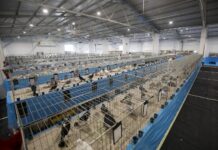 Virovitica domaćin jedne od najvećih izložbi malih životinja u Hrvatskoj: Razgledati se može više od 1400 eksponata