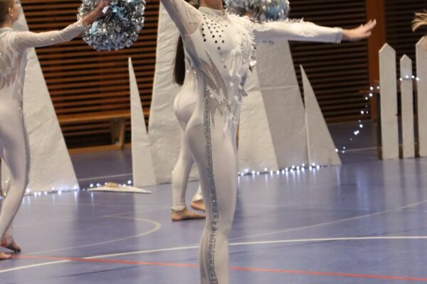 Božićna čarolija u dvorani “Nazora”: Virovitičke mažoretkinje oduševile petom “Golden Christmas” galom 21 IMG 6185