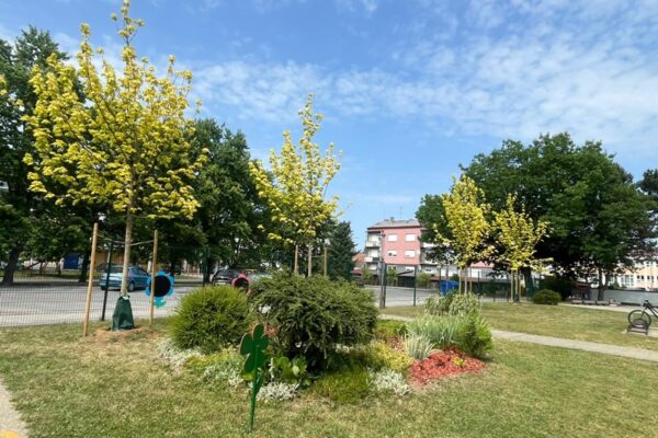 Najljepši školski vrtovi: Dječji vrtić Cvrčak Virovitica osvojio 3. mjesto za najljepšu učionicu na otvorenom 5 34679 WhatsApp Image 2025 06 24 at 14.42.28 84beb9fc