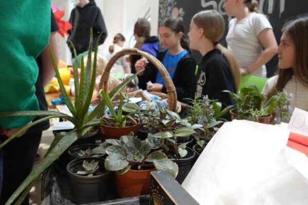 Nazorovi zadrugari 11