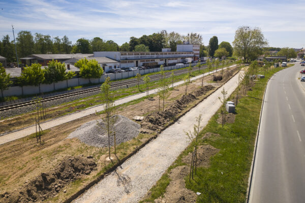 Novi zeleni kutak u Virovitici: uređuje se park „Čarobna šuma“ 1 DJI 20260504140136 0029 D