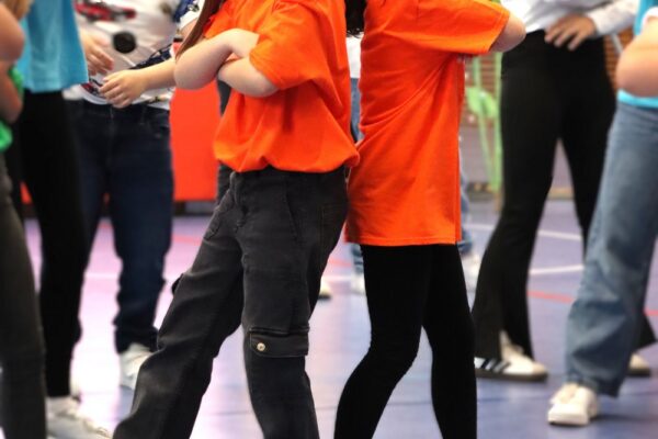 IMG 2718