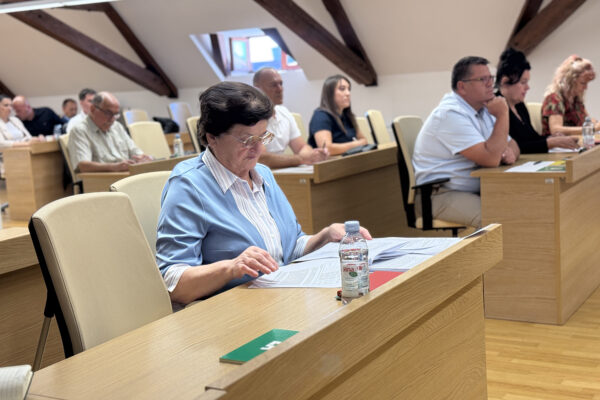 Aktualni sat Gradskog vijeća Virovitice: pitanja o javnom prijevozu, cijeni vode, vrtiću i otpadu 22 image00024