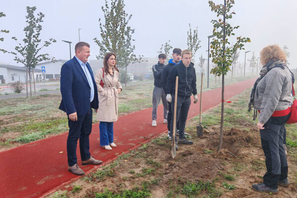 Za zeleniju Viroviticu: U parku Čarobna šuma posađeno novih 12 stabala malolisne lipe 7 860071521 1527988025815987 6816667037944872886 n