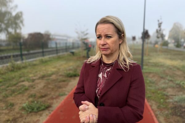 Za zeleniju Viroviticu: U parku Čarobna šuma posađeno novih 12 stabala malolisne lipe 13 IMG 1209