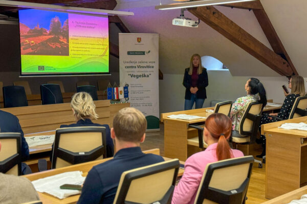 Virovitica kreće u veliki projekt ozelenjavanja: Na Vegeški 379 parkirnih mjesta, nove šetnice i zelene oaze u središtu grada 1 image00030