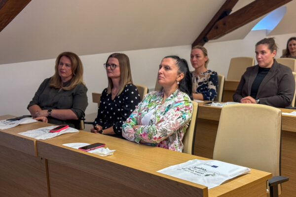 Virovitica kreće u veliki projekt ozelenjavanja: Na Vegeški 379 parkirnih mjesta, nove šetnice i zelene oaze u središtu grada 4 image00056